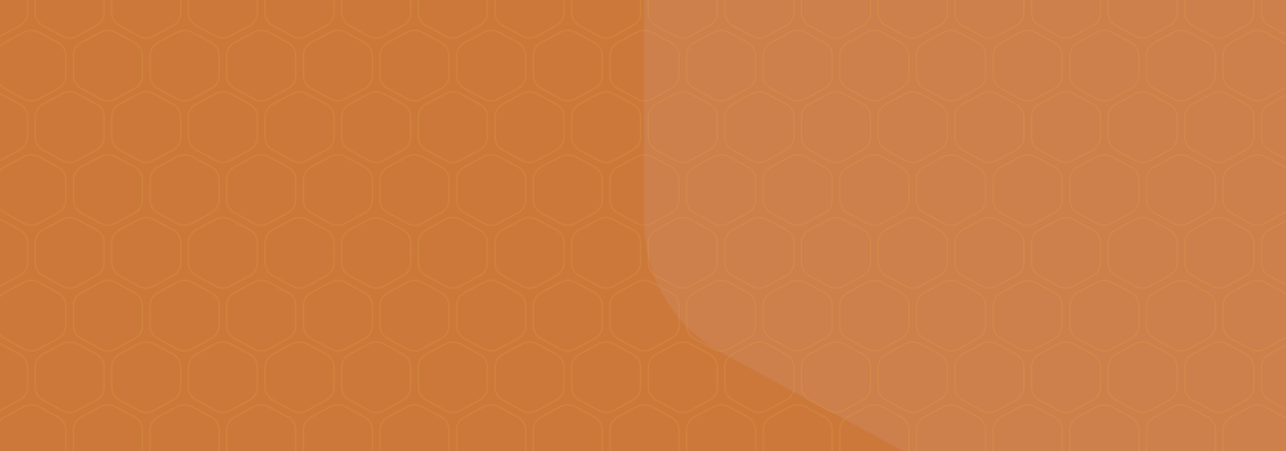hero-back-oranje.png